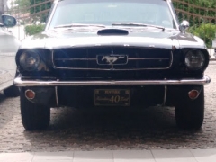 Renovácie Renovácie